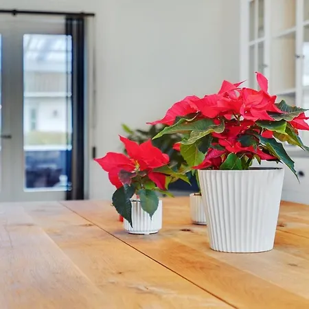 Sommerhus Ved Vadehavet Holiday home *