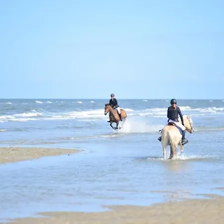 Sommerhus Ved Vadehavet *